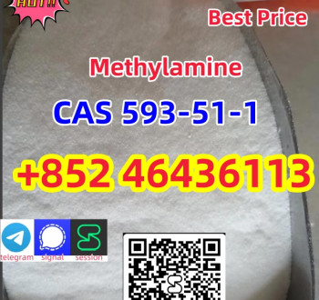 CAS 593-51-1 Methylamine hydrochloride Factory Supply High Purity 100% Safe Delivery Add +852 46436113