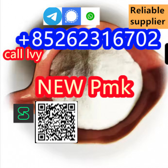 CHINESE FACTORY SUPPLY new PMK POWDER ETHYL GLYCIDATE CAS 28578 16 7 WITH HIGH QUALITY