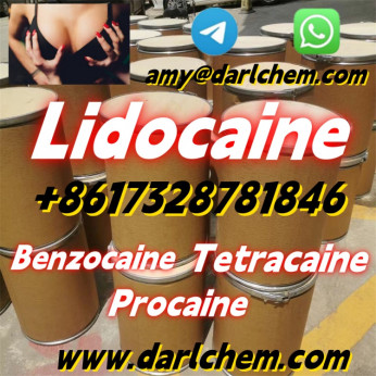 High Quality API Lidocaine powder Powder CAS 137-58-6