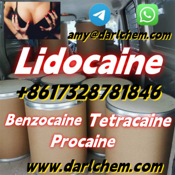 High Quality API Lidocaine powder Powder CAS 137-58-6