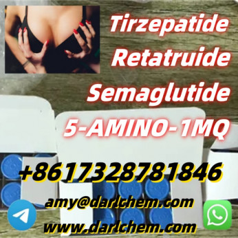 High Quality Semaglutide raw material910463-68-2 Door to Door
