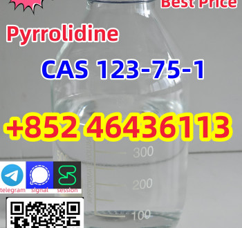 Cas 123-75-1 Pyrrolidine Liquid 99% Purity Large With Free Shipping Add +852 46436113