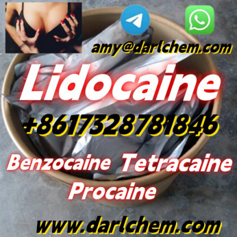 High Quality API Lidocaine powder Powder CAS 137-58-6