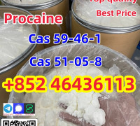 Procaine /procaine Base Cas 59-46-1 Free Sample Fast Delivery Add +852 46436113