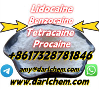 Lidocaine Benzocaine Procaine raw Powder 137-58-6 Top Quality