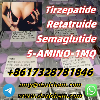 High Quality Semaglutide raw material910463-68-2 Door to Door