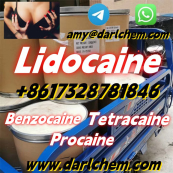 High Quality API Lidocaine powder Powder CAS 137-58-6