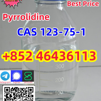 pyrrolidine cas 123-75-1 supplier 123-75-1 liquid Factory Supply Add +852 46436113