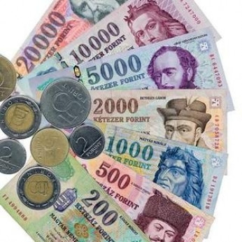 Nemzetközi hiteleket kínálunk Önnek. CHOW kölykök