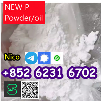 CHINESE FACTORY SUPPLY new PMK POWDER ETHYL GLYCIDATE CAS 28578 16 7 WITH HIGH QUALITY
