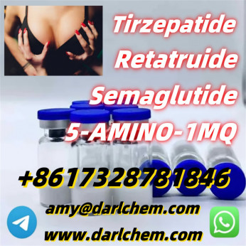High Quality Semaglutide raw material910463-68-2 Door to Door
