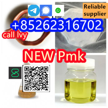 CHINESE FACTORY SUPPLY new PMK POWDER ETHYL GLYCIDATE CAS 28578 16 7 WITH HIGH QUALITY