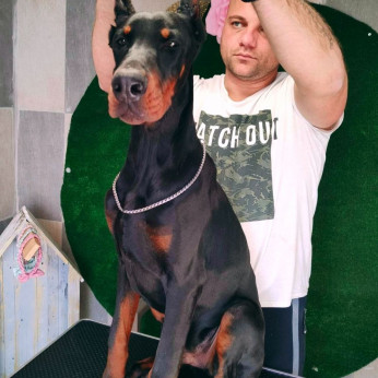 Doberman GYÖNYÖRŰ kutyusok